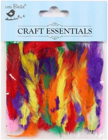 Itsy Bitsy Feathers Assorted 90 Pcs